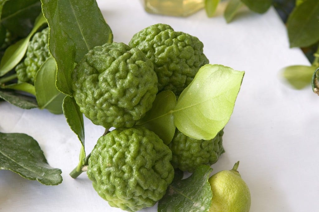  Kaffirlimoen (Citrus Hystrix)